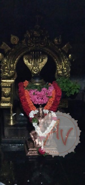 NAVAGRAHA & DHANVANTARAM & MAHAMRITYUNJAYA HOMA 2021- Наваграха, Дханвантарам и Махамритьюнжая Хома