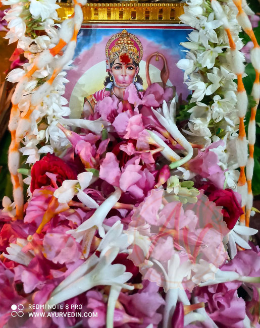 NAVAGRAHA & ANJENEYA HOMA. 