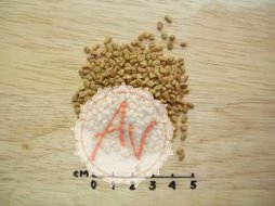 Fenugreek, Шамбала семена, 100 грамм